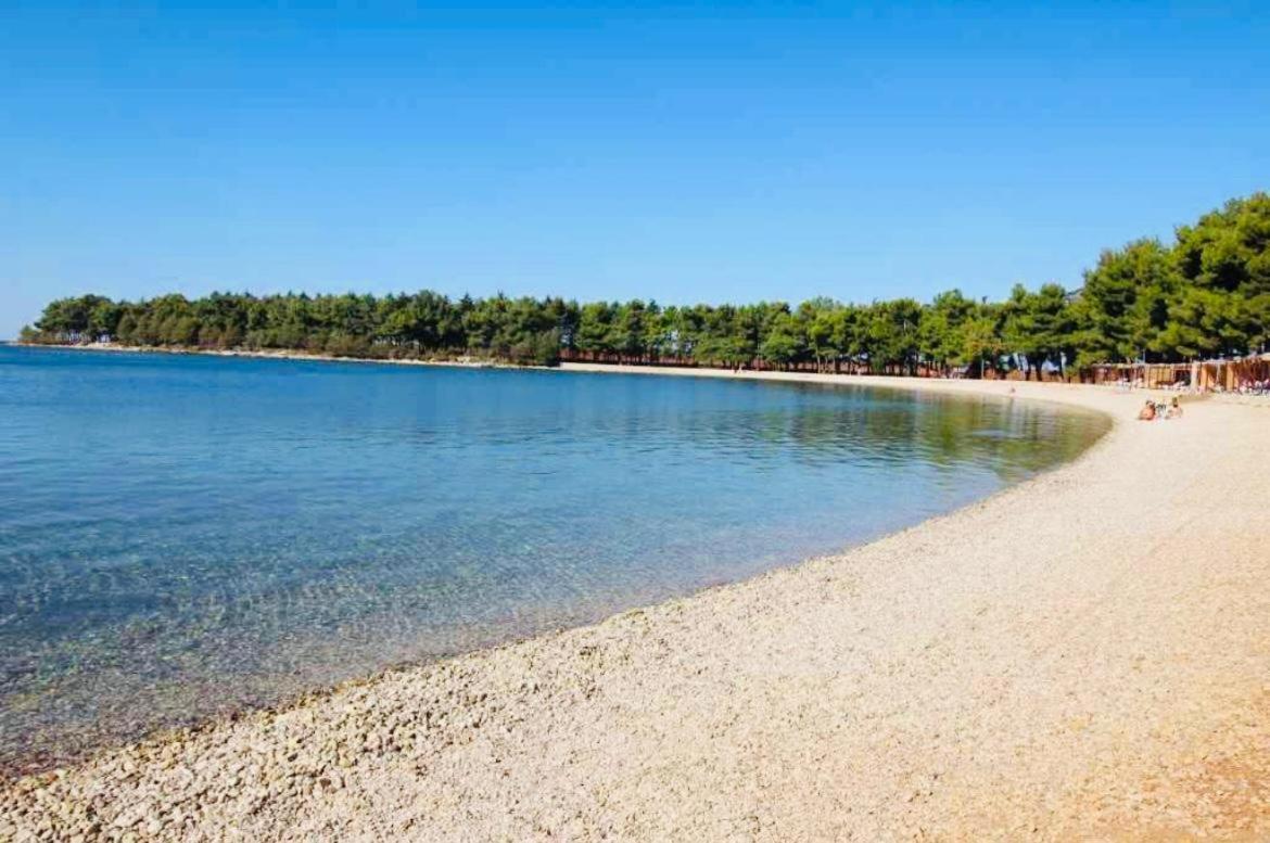 Villa Valdora Luxury With Pool Novigrad Istria